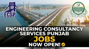 Engineering Consultancy Services Punjab Jobs